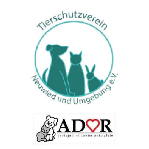Tierschutzverein Neuwied