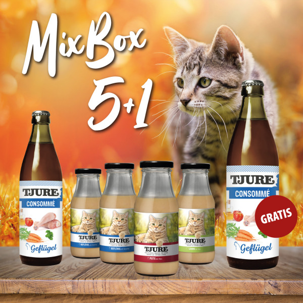 Mix-Box Katze 5 + 1