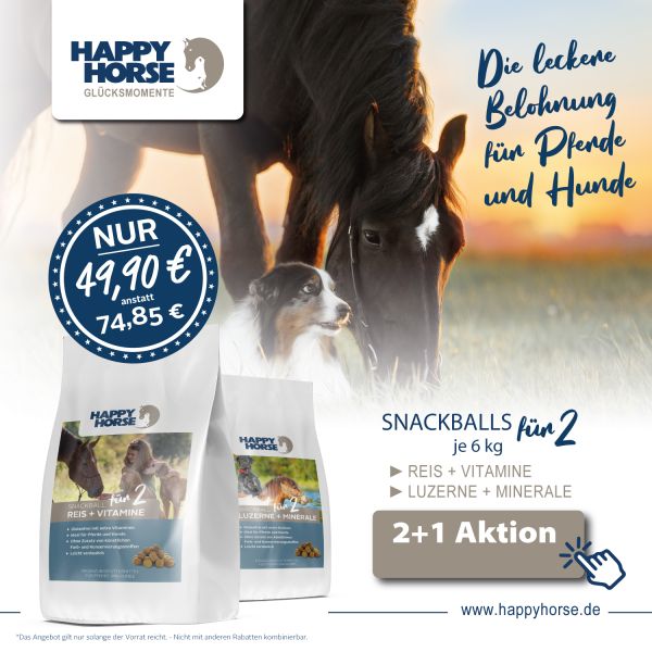 Aktion Snackballs 2x Luzerne + Minerale und 1x Reis + Vitamine