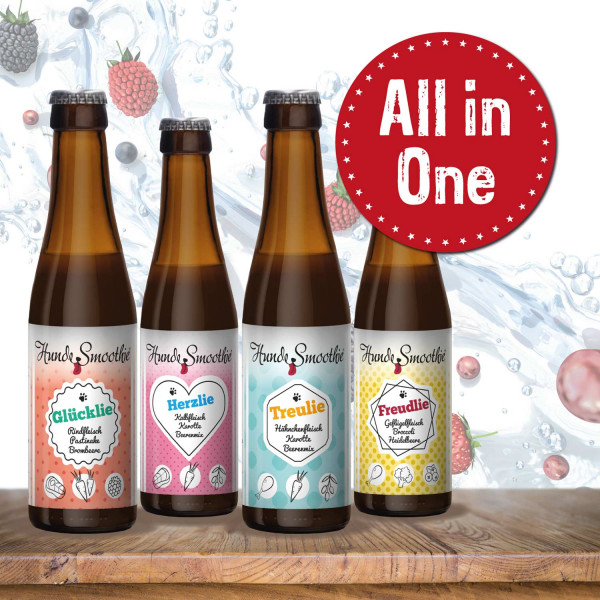 All in One - HundeSmoothie 4 x 220 ml